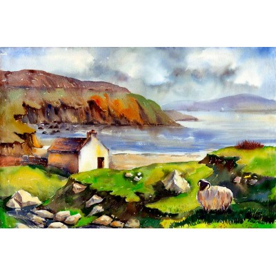 Wild Sheep - Achill Island Wild Sheep - Achill Island